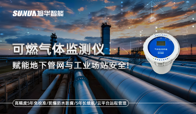 可燃气体监测仪